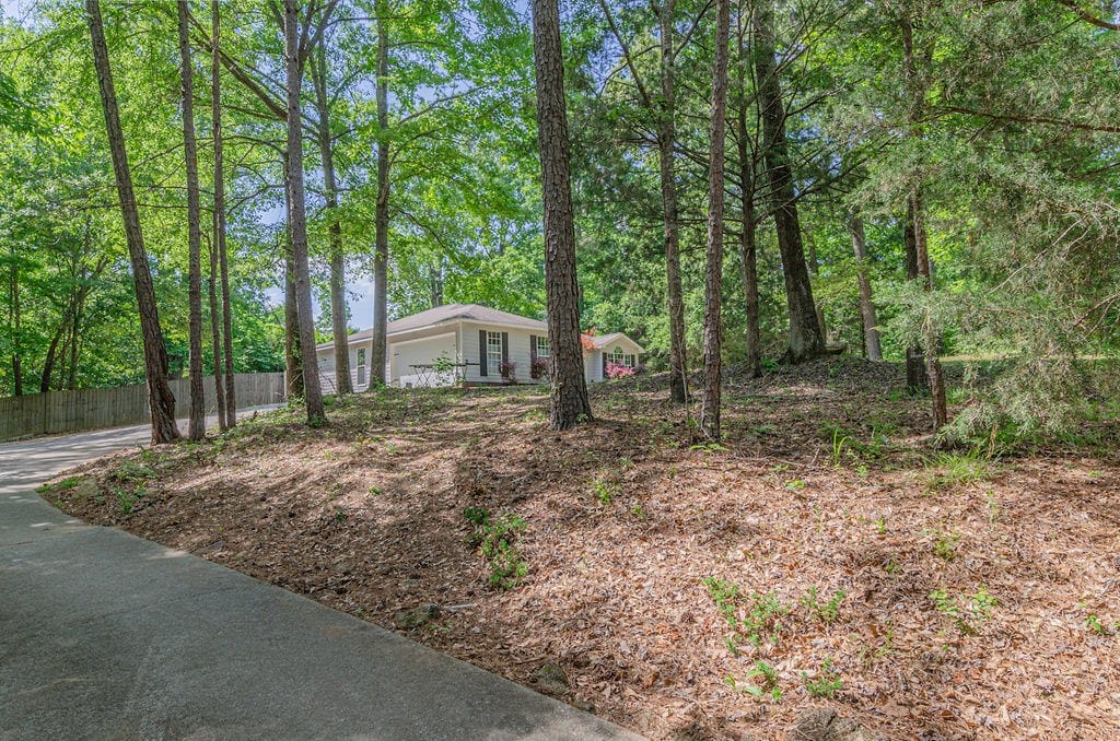 63 Douglas Drive, Ellerslie, GA, 31807 — Photo 3