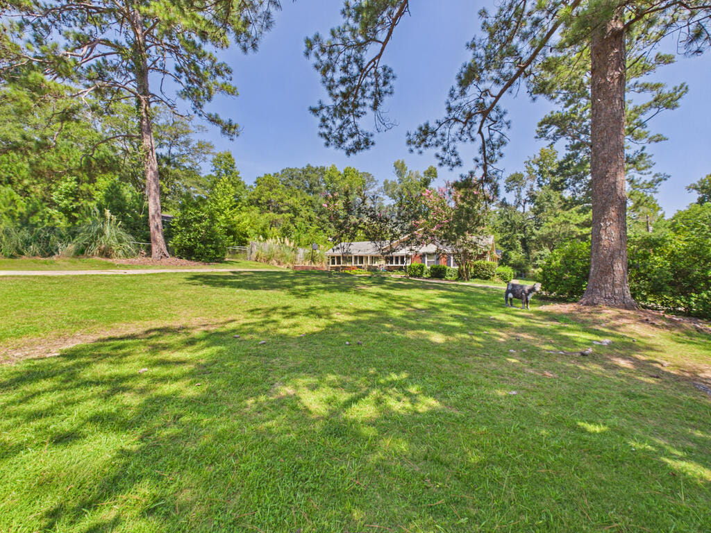 33 Byrd Ave, Smiths Station, AL 36877, Side Yard
