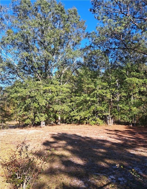 30 Detroit Lane, Tuskegee, AL, 36083 — Photo 3