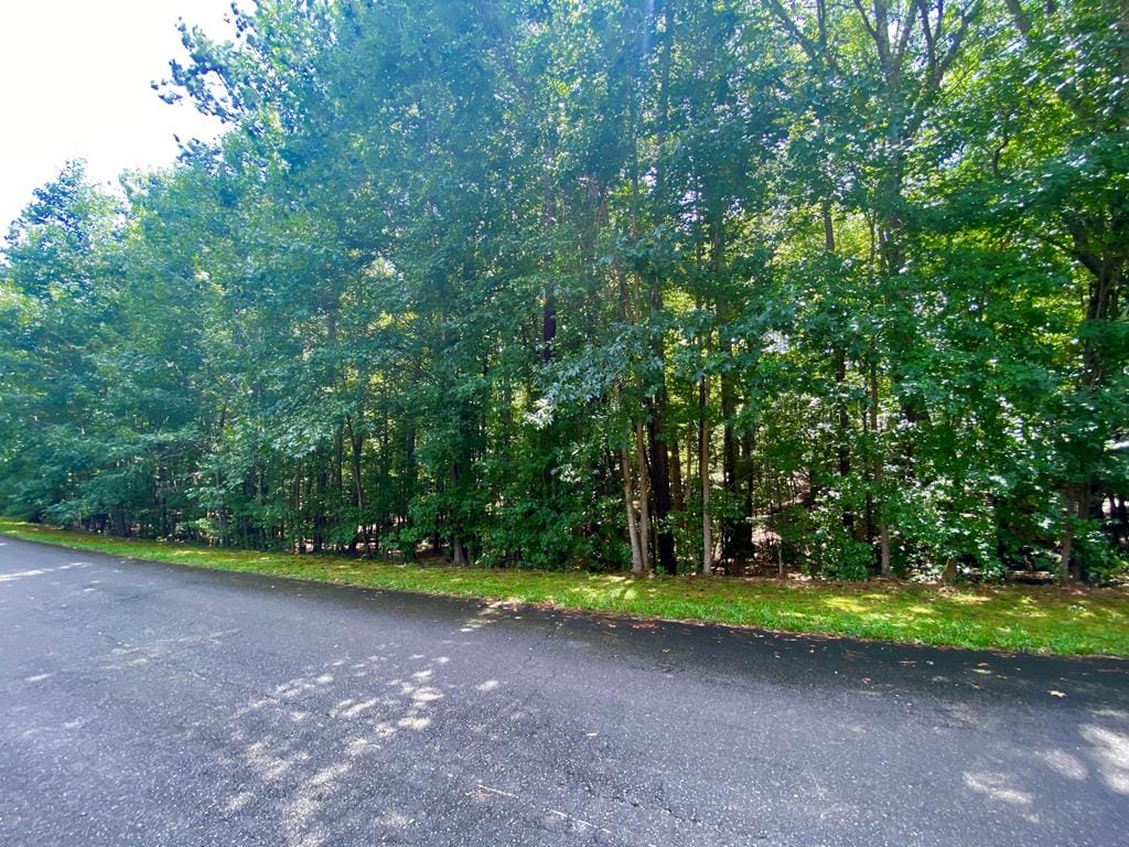 Lot 27 Buckeye Loop North, Midland, GA, 31820