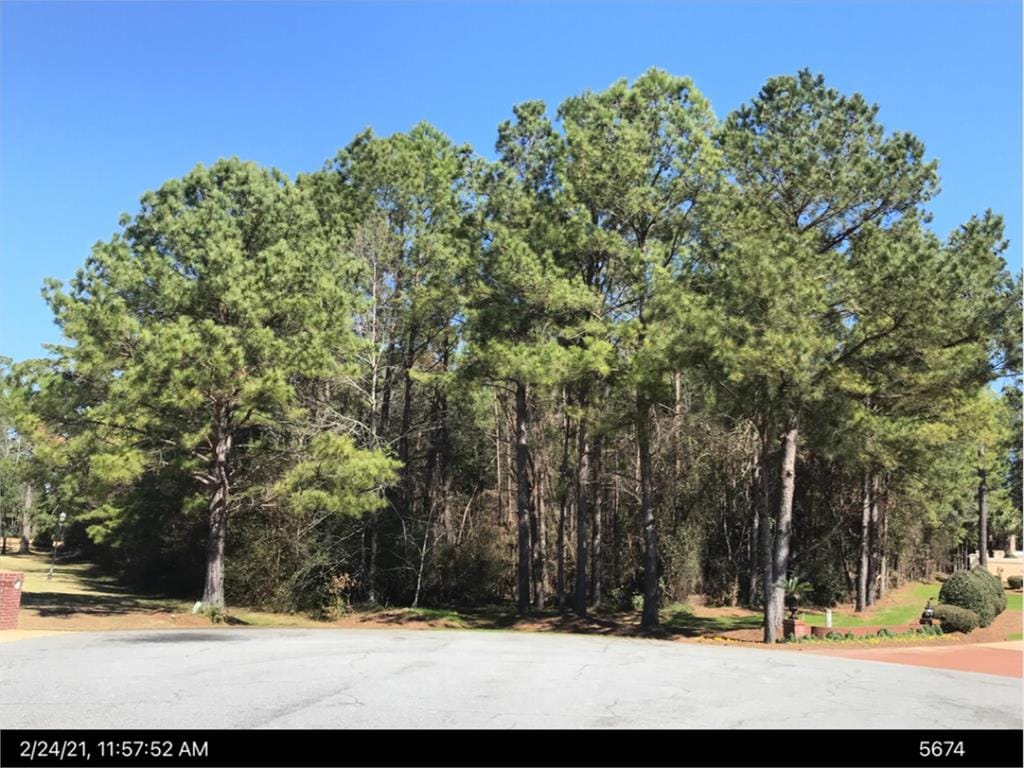Lot 12 Nunnally Way, Leesburg, GA, 31763