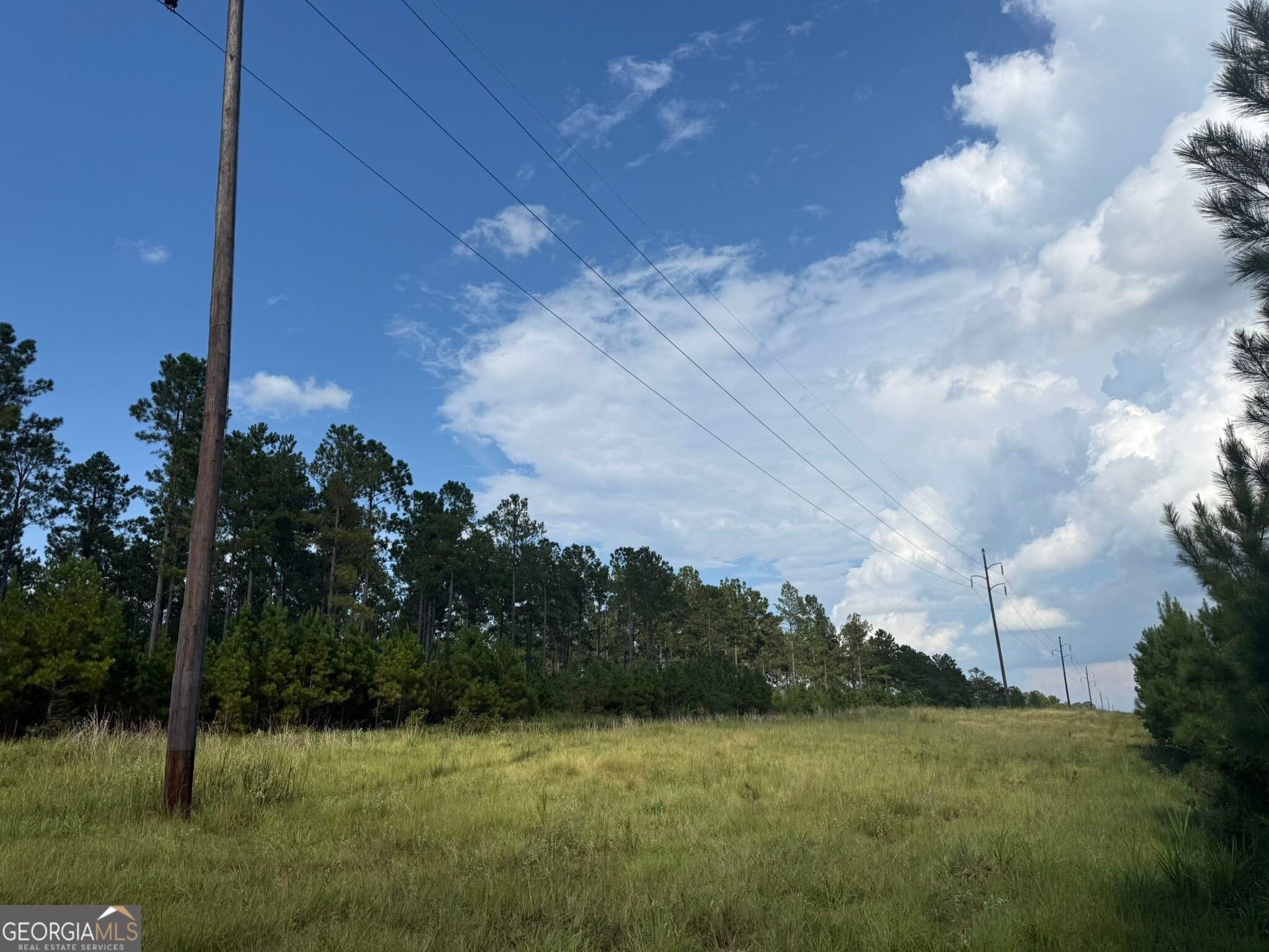 2 George Milling Rd, Cuthbert, GA 39840