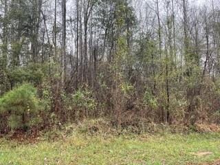 0 Lee Rd 2056, Salem, AL, 36874