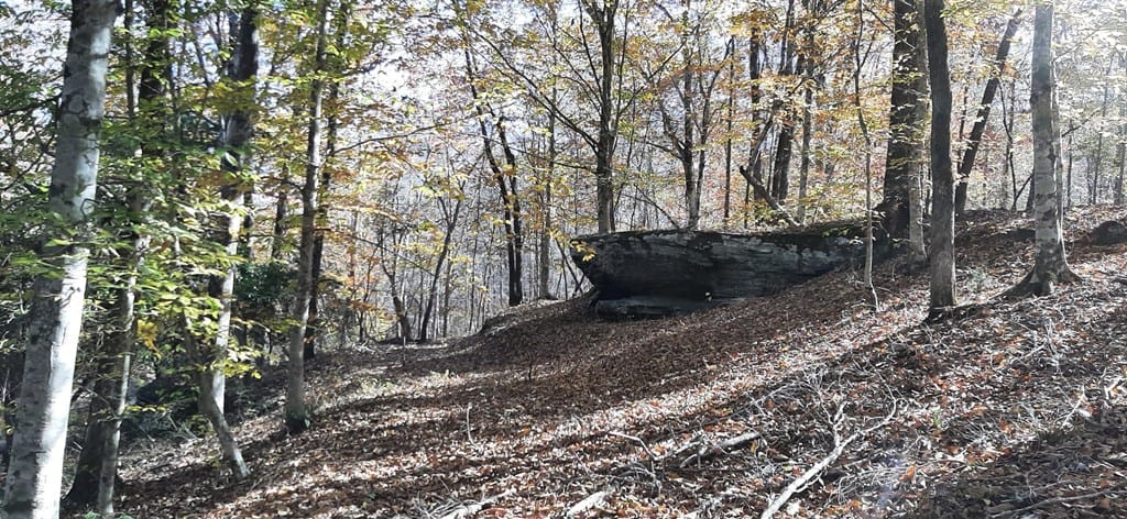 00 Oak Mountain Road, Shiloh, GA, 31826 — Photo 3