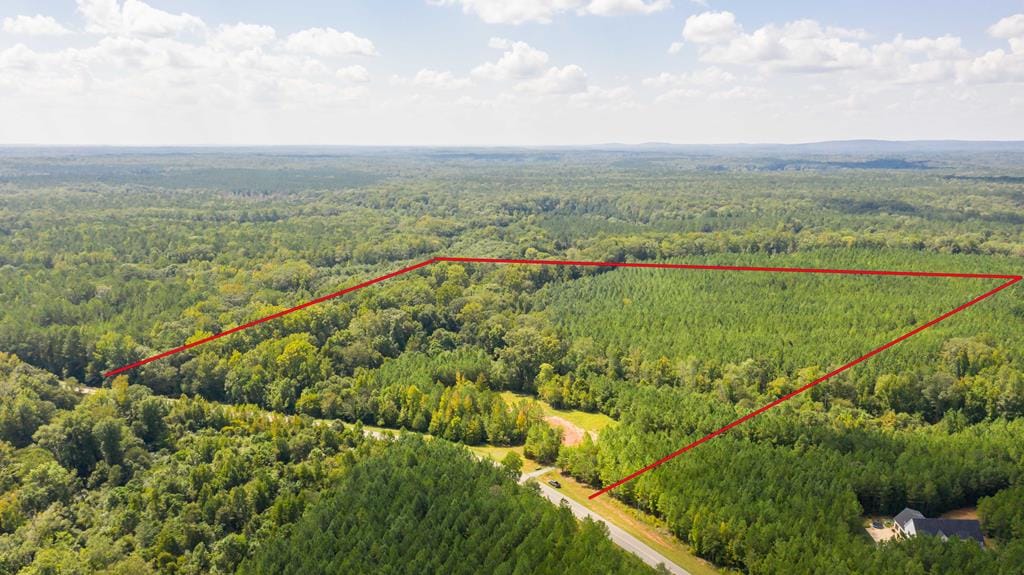 Lot 301 Winfree Road, Hamilton, GA, 31811