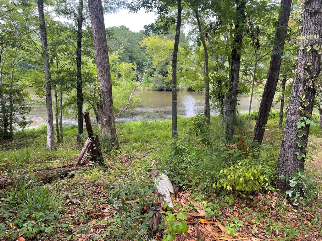 0 Halley Street, Fortson, GA, 31808 — Photo 2