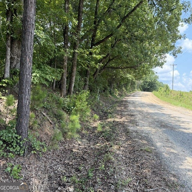 80.61 ACRES Howard Neal, Junction City, GA, 31812
