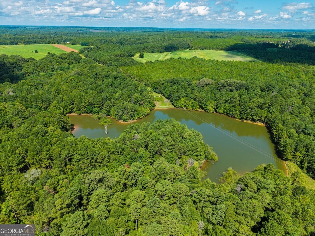 266 +/- AC Loven Mill, Richland, GA, 31825