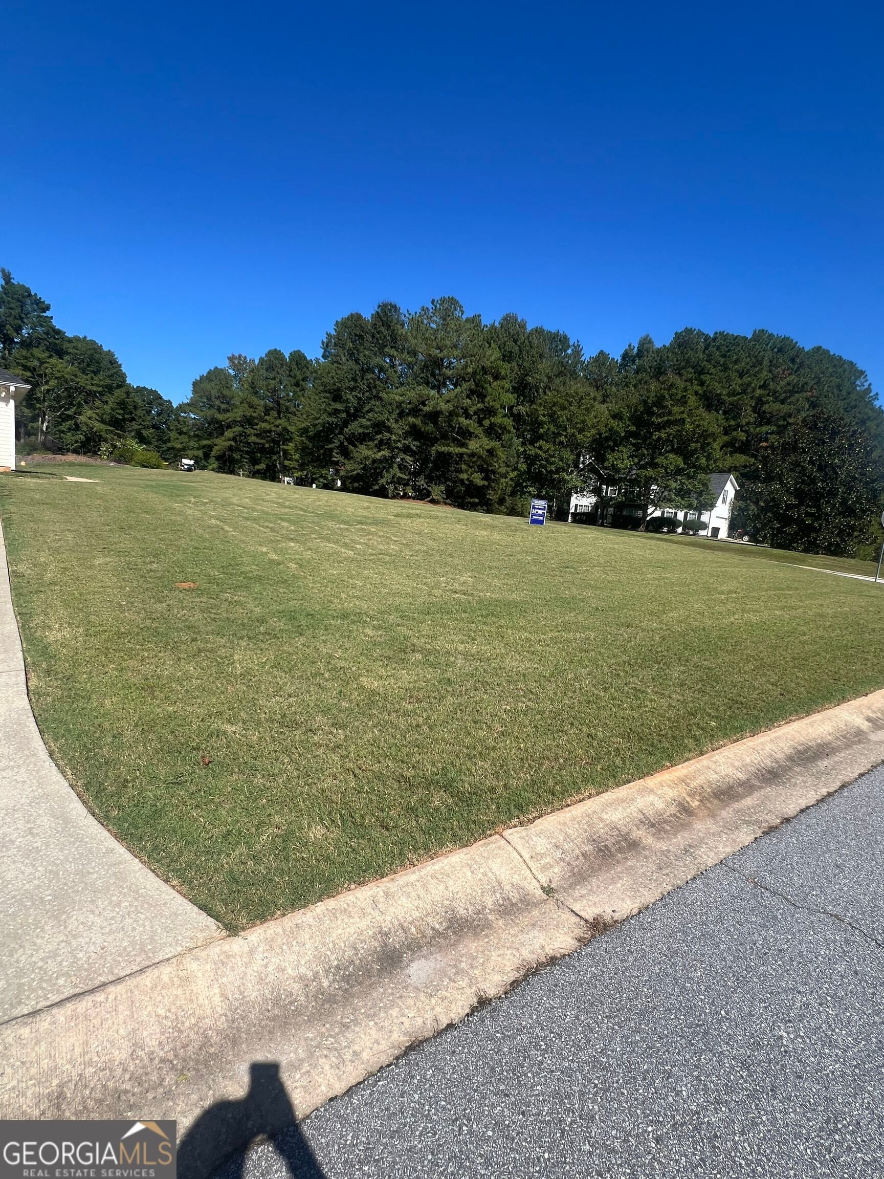 90 Riverside Dr, Sharpsburg, GA 30277