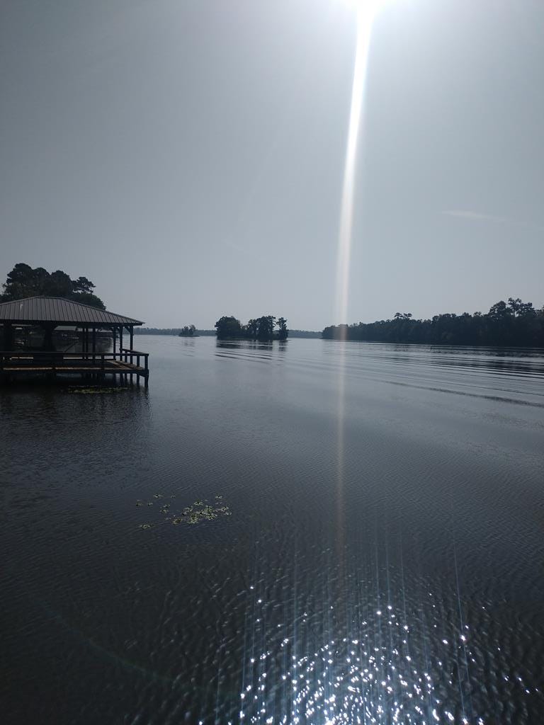 1300 River Pointe Drive, Albany, GA, 31701, Main View