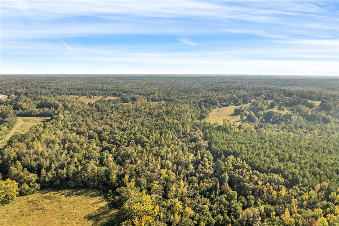 0 Co Rd 17, Tuskegee, AL 36083, Lush rolling forests and open meadows stretch towa