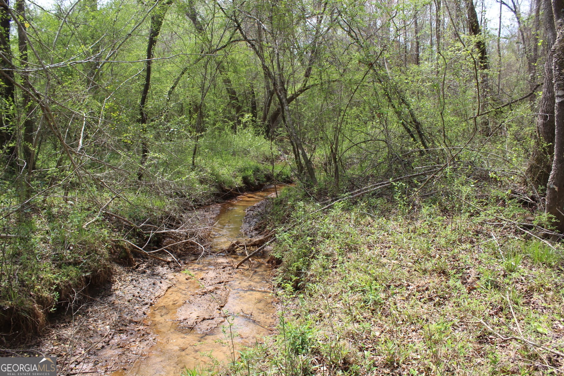337+/- AC Hwy 137, Buena Vista, GA, 31803