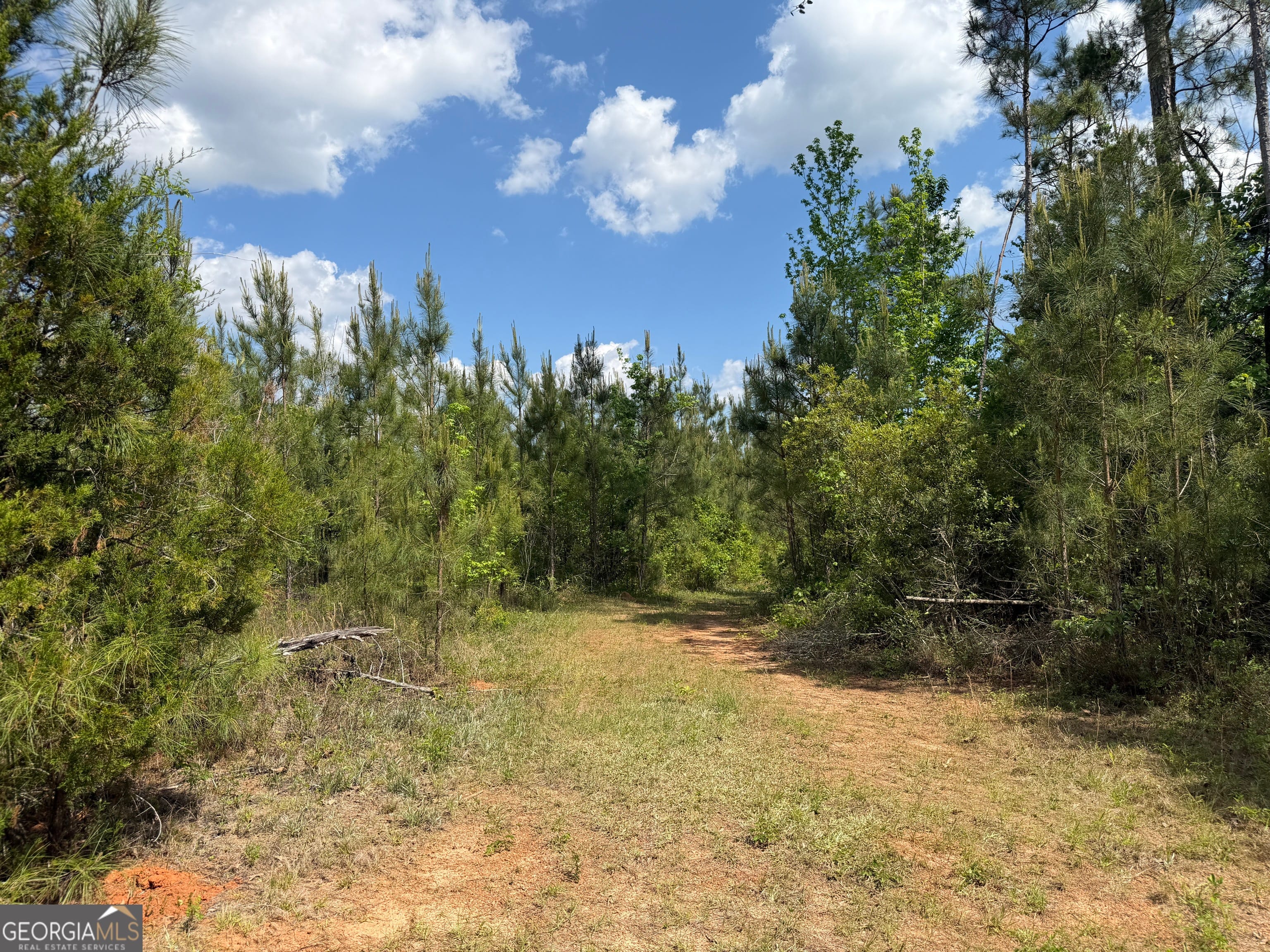 1 George Milling Road, Cuthbert, GA, 39840