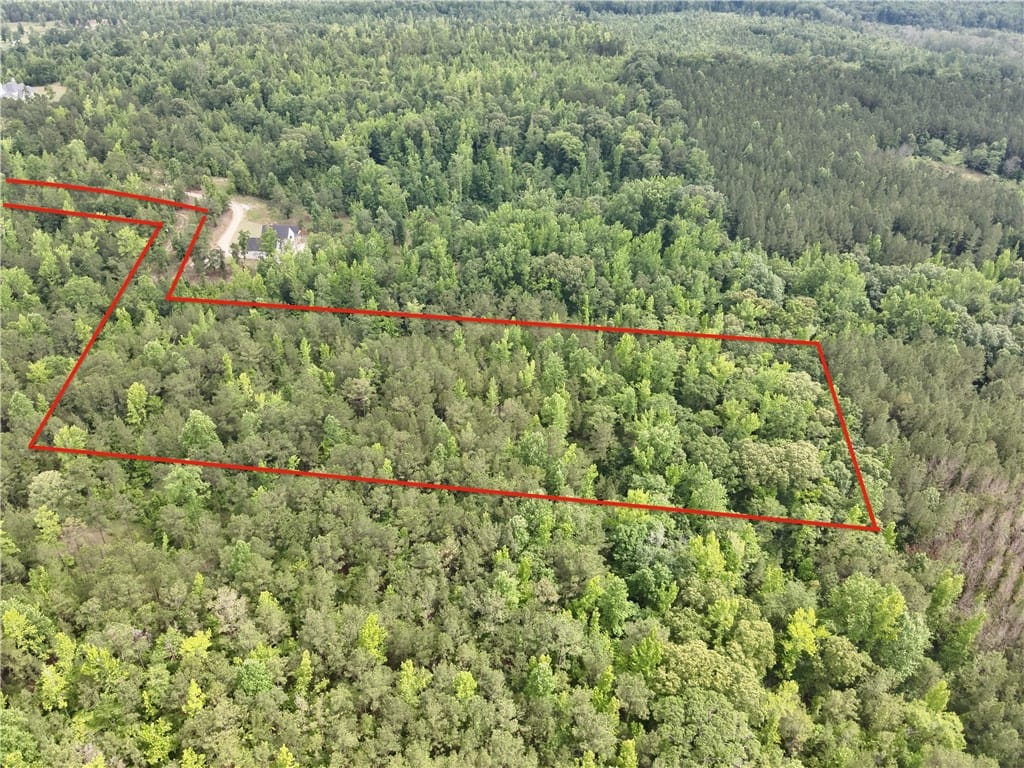 0 LEE ROAD 188, WAVERLY, AL, 36879