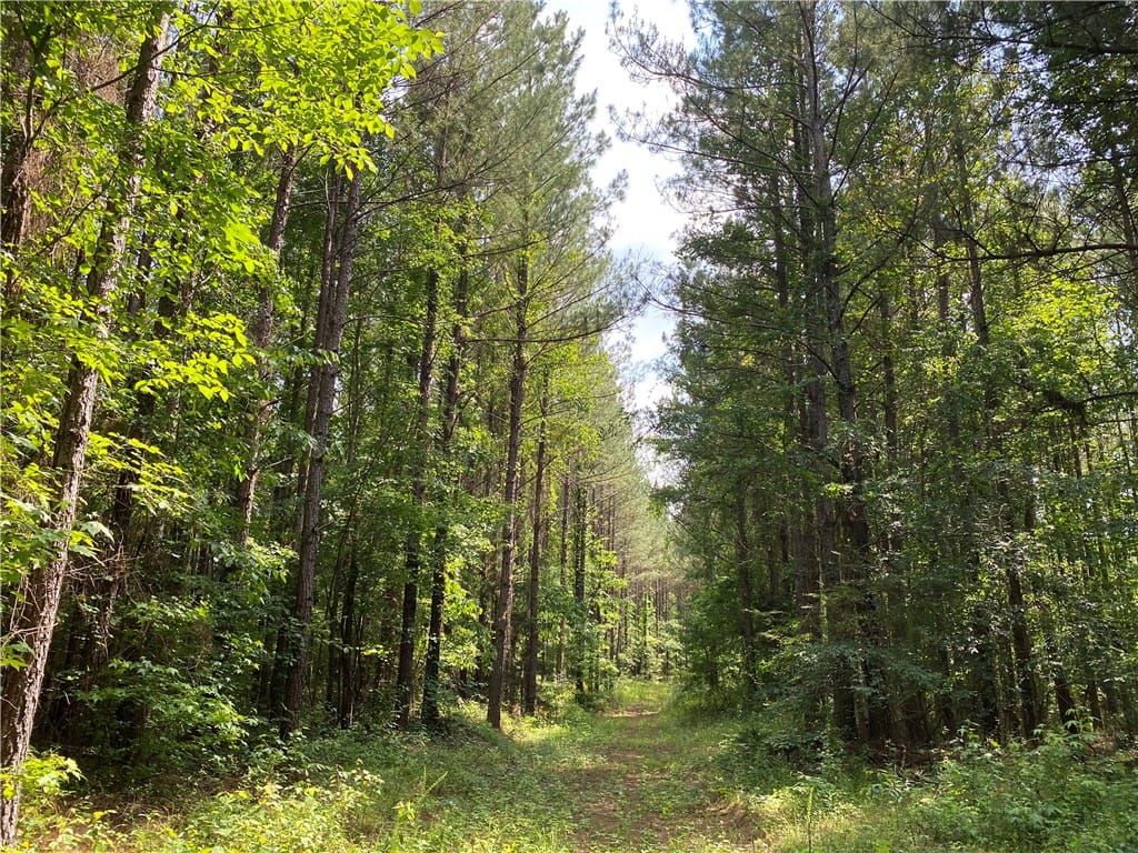 0 ELDER, DADEVILLE, AL, 36853 — Photo 2