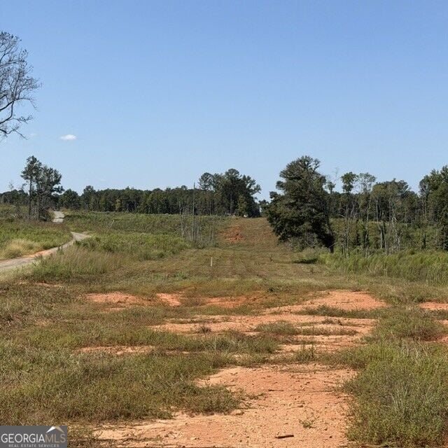 76 +/- ACRES ON Gibson, Talbotton, GA, 31827