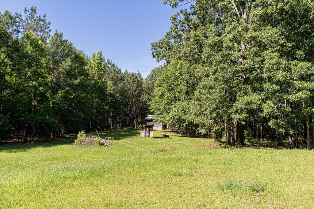 231 Lower Lovelace Road, West Point, GA, 31833