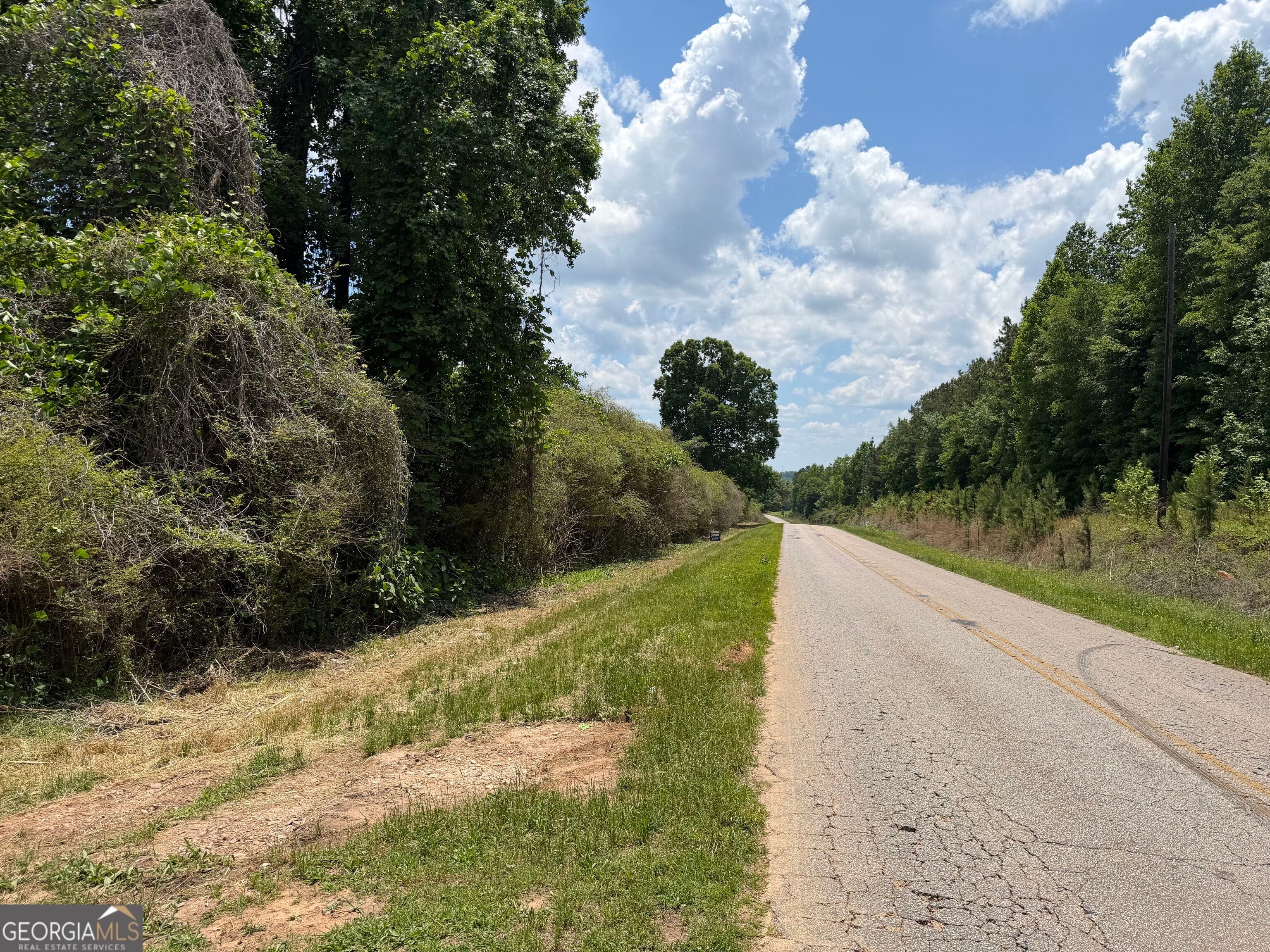 0 County Road 87 #4, Roanoke, AL, 36274