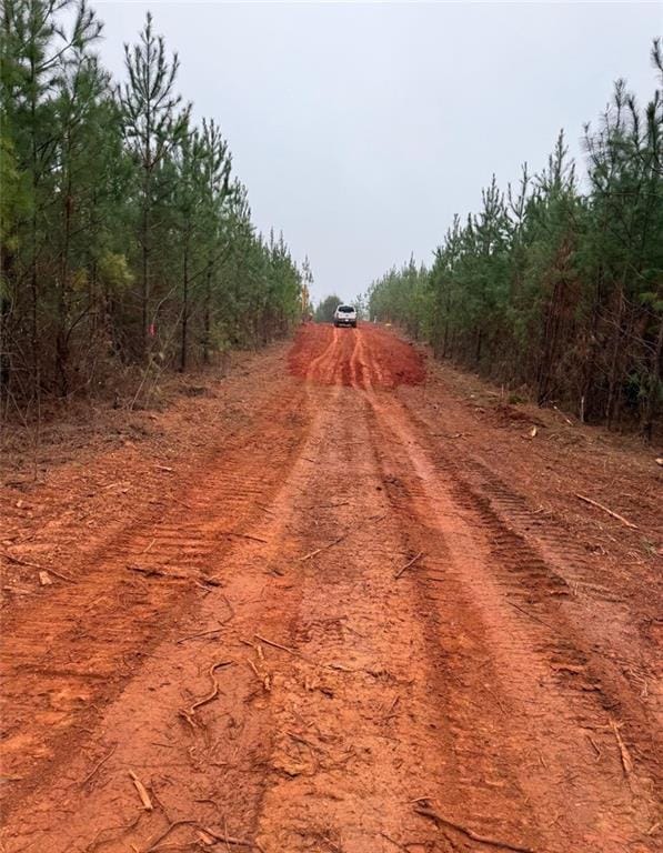 4982 Lee Road 852, Salem, AL, 36874 — Photo 2