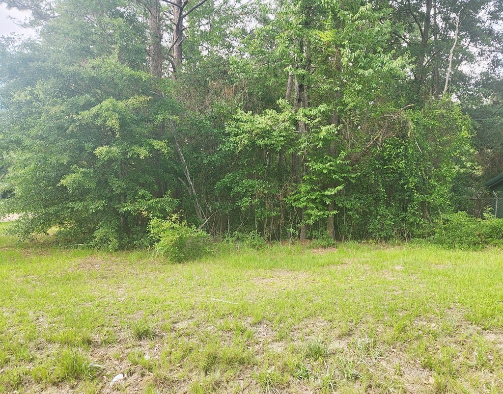 164 Park Place, Sylvester, GA, 31791