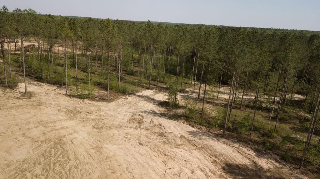 00 Lee Road 138, Opelika, AL, 36804 — Photo 3