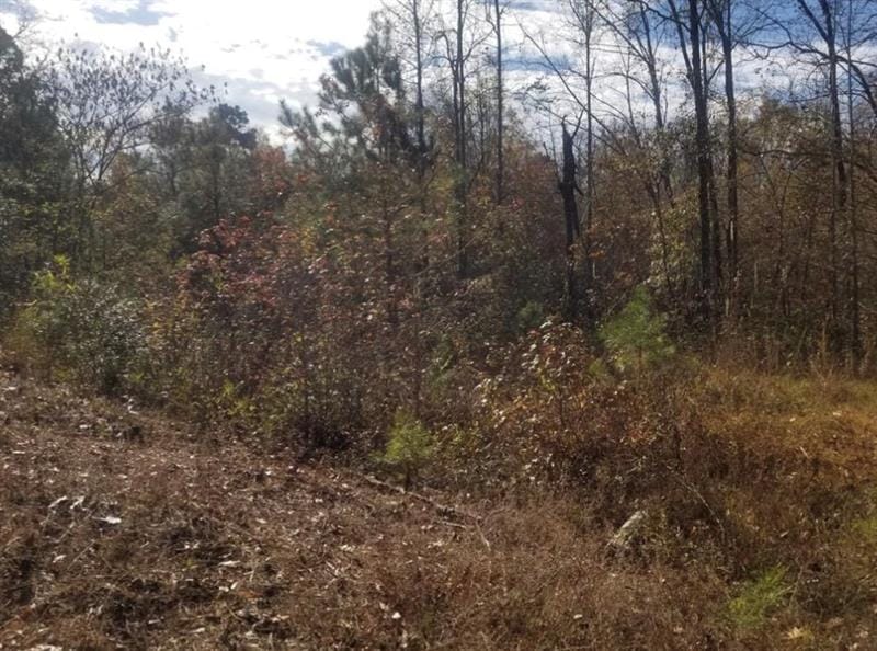 32 Sanks, Phenix City, AL, 36869