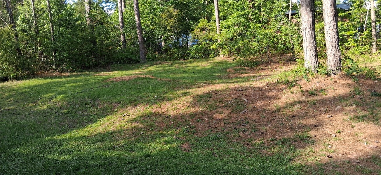 189 Cynthia Cir, Roanoke, AL 36274, A verdant, gently sloping lawn provides ample spac