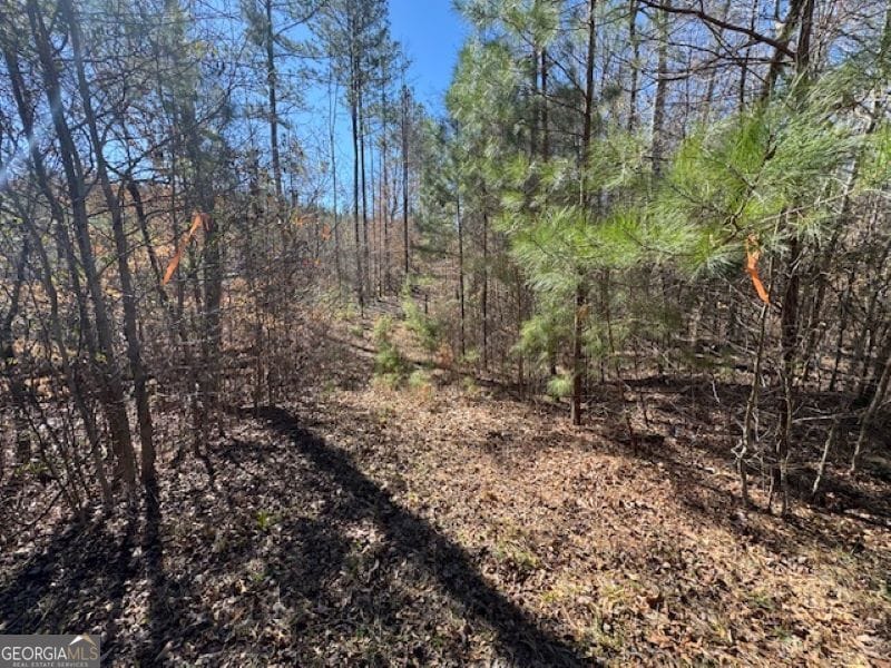 0 Brown Creek Rd, Shiloh, GA 31826