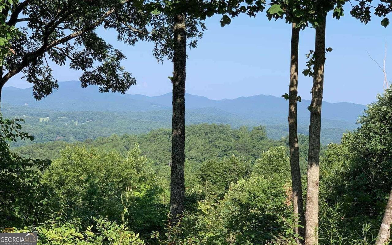 LOT 7 Golden Oak Estates, Warne, NC, 28909