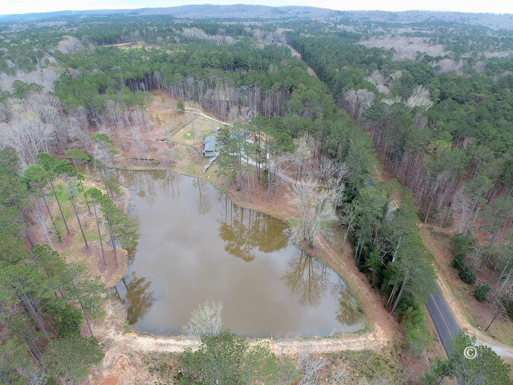 1737 Myhand Road, Pine Mountain, GA, 31822 — Photo 3