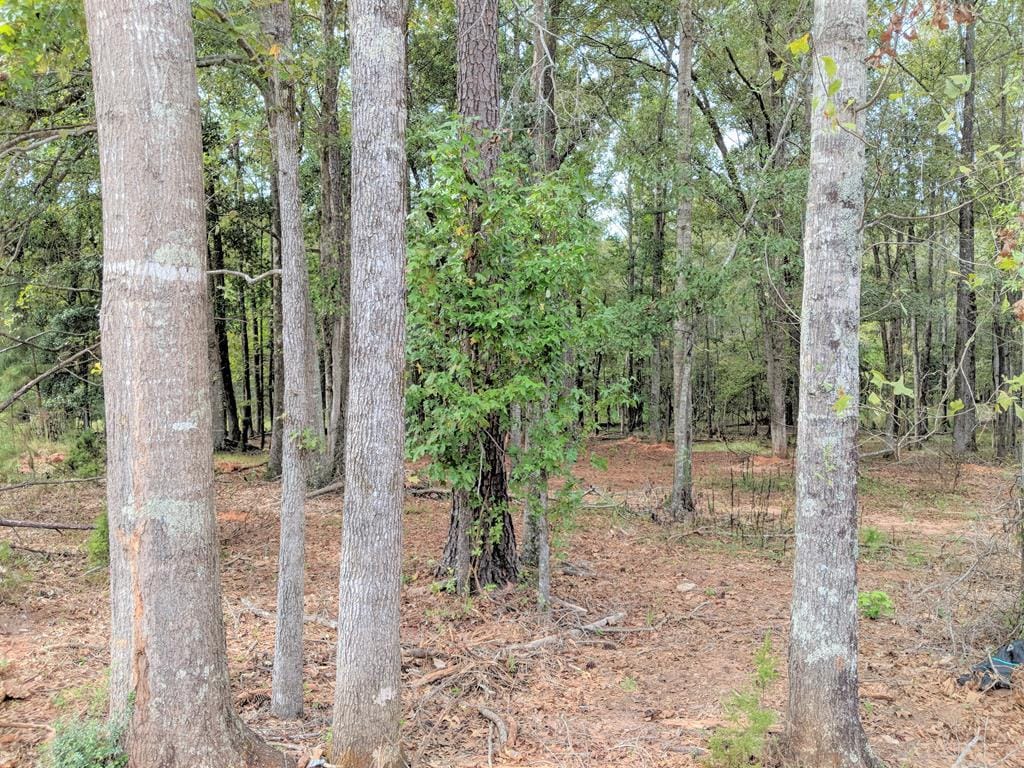 3547 Statler Drive, Columbus, GA, 31907