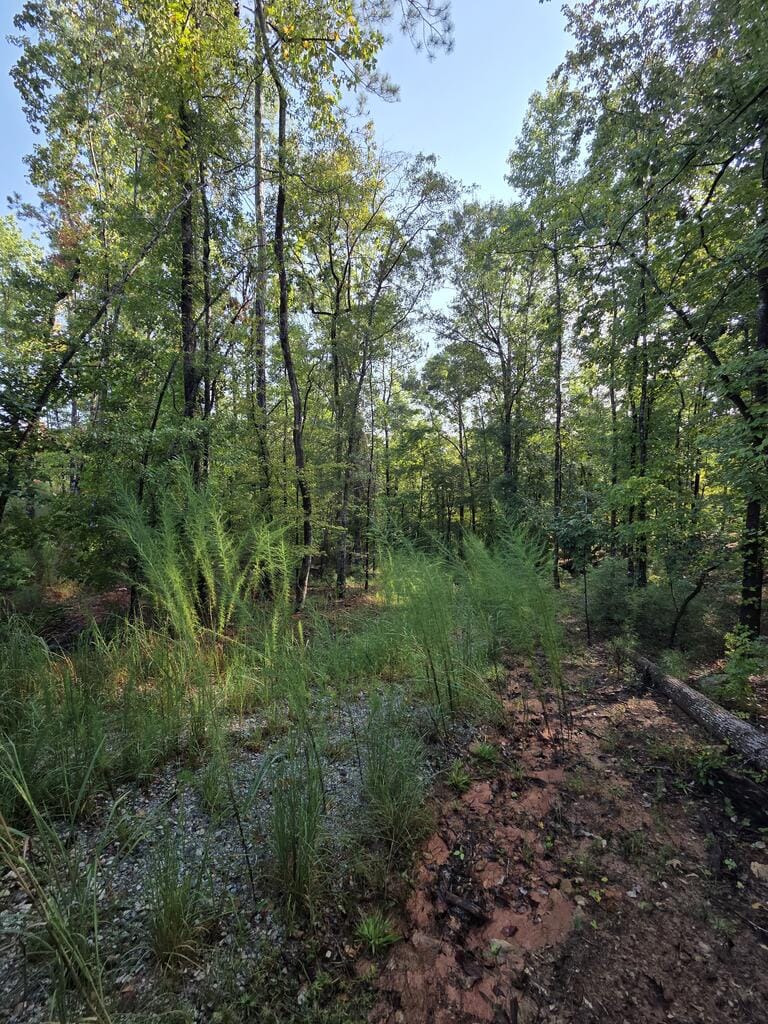 3982 Essex Heights Ct, Fortson, GA 31808