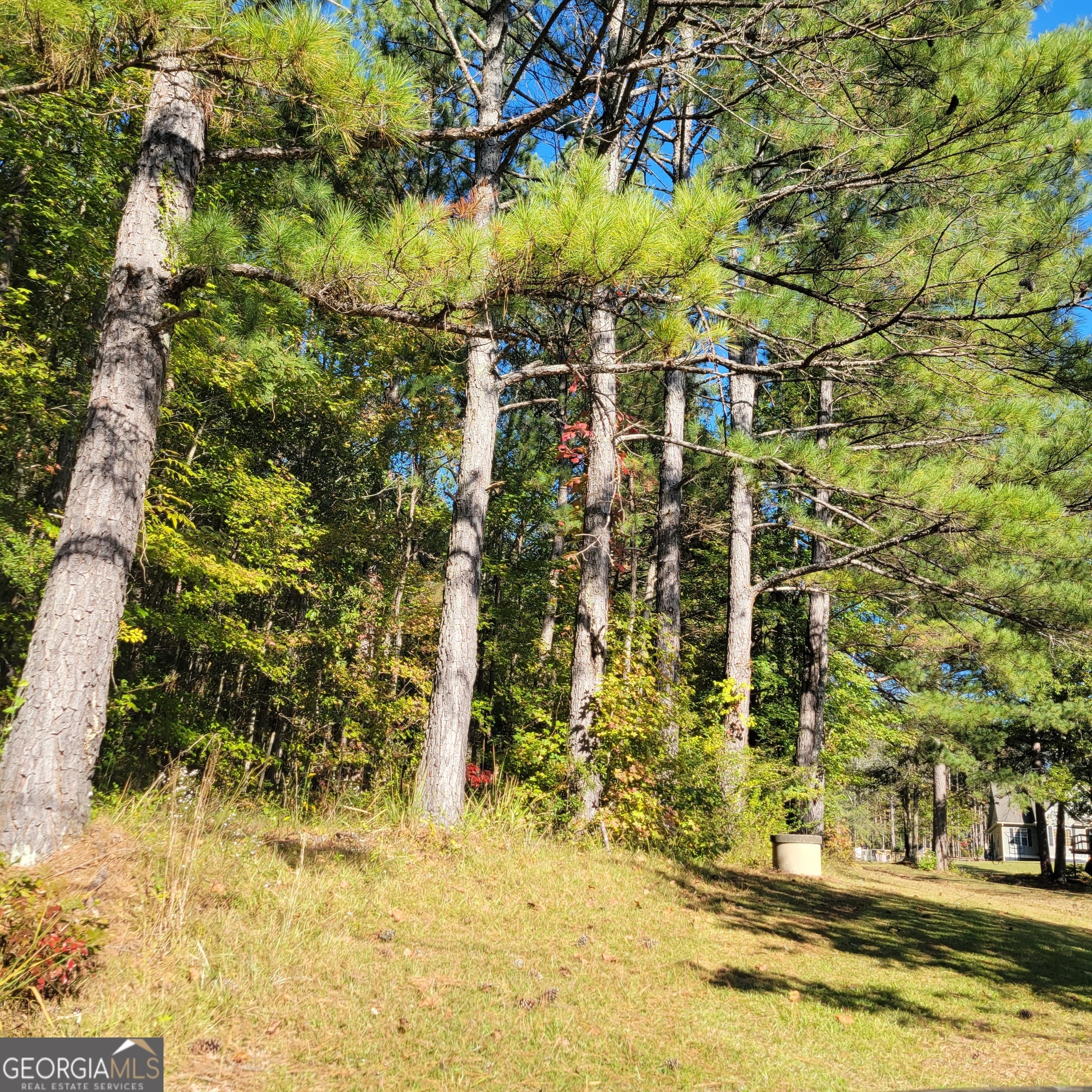 0 Bohannon Woods Rd, Grantville, GA 30220