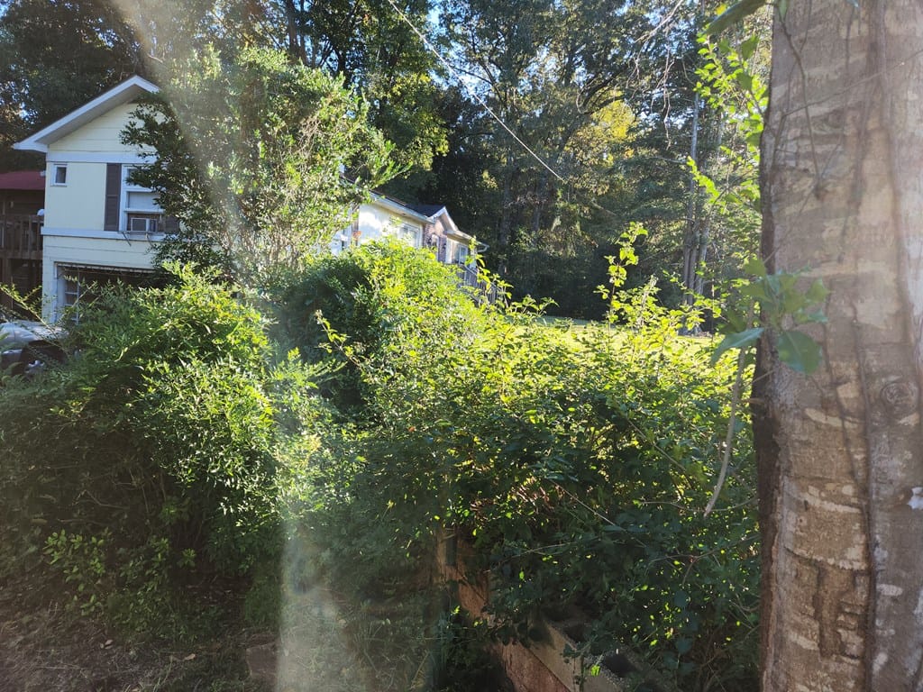 1433 Ga Highway 0520, Richland, GA, 31825 — Photo 3