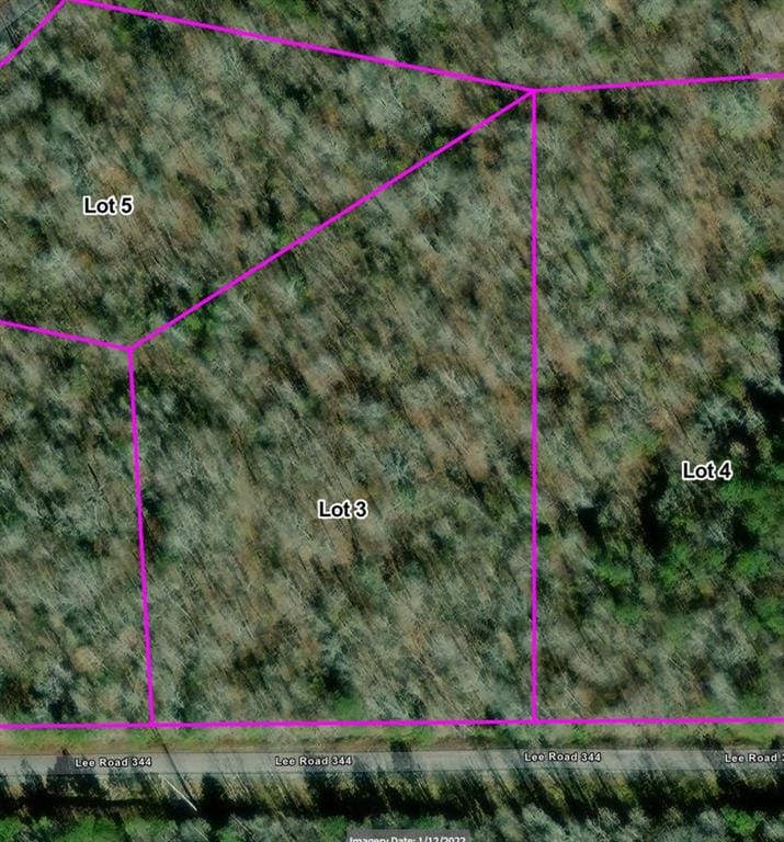 Lot 3 Lee Road 344, Salem, AL, 36874 — Photo 2