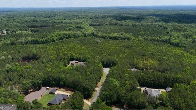 0 Maria Ln, Ellerslie, GA 31807