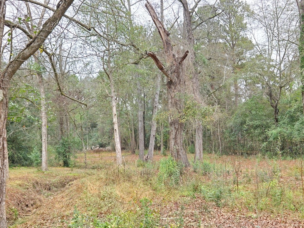 3857 Woodland Drive, Columbus, GA, 31907 — Photo 2