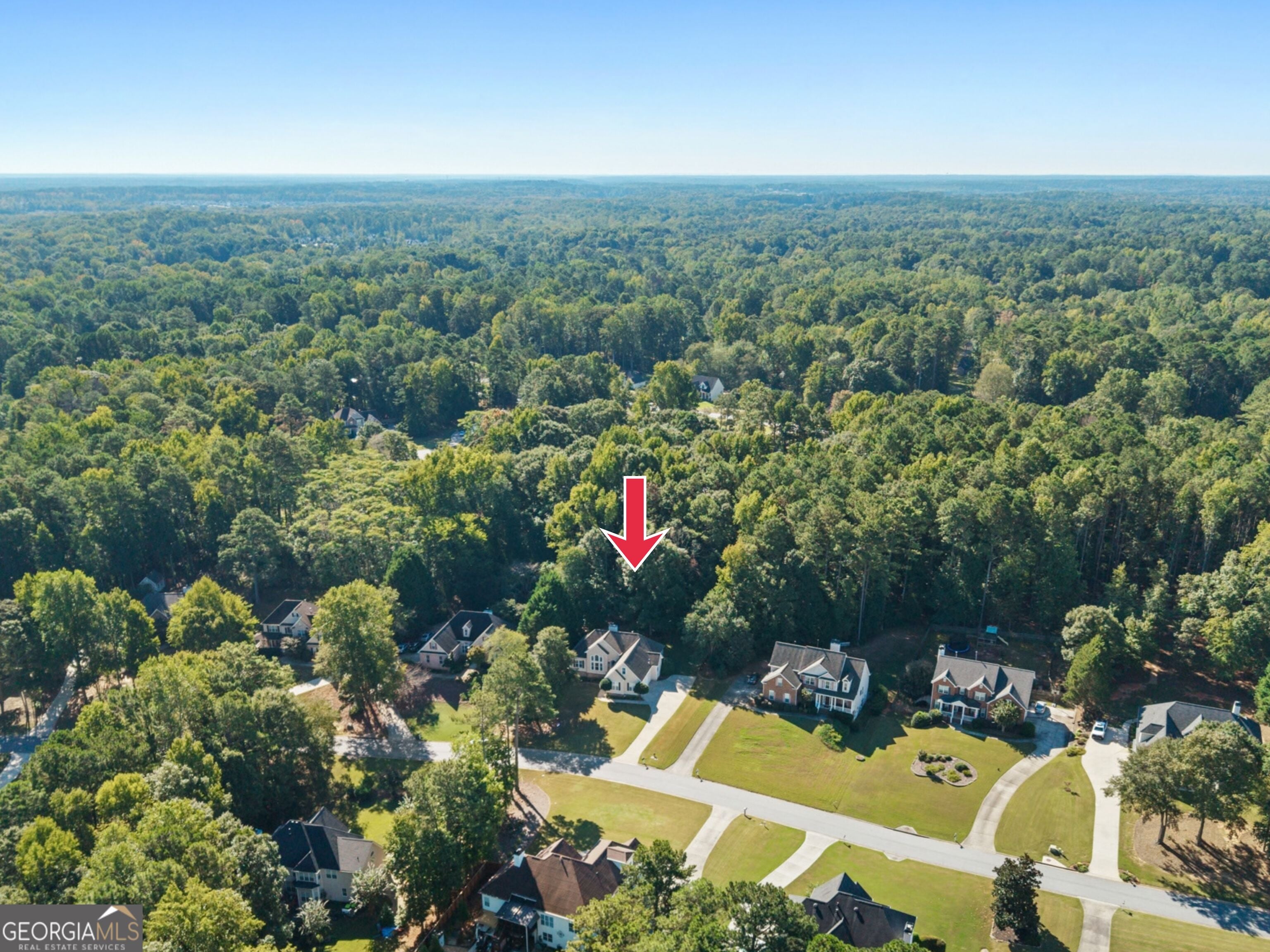 245 Ryans Ct, Sharpsburg, GA 30277