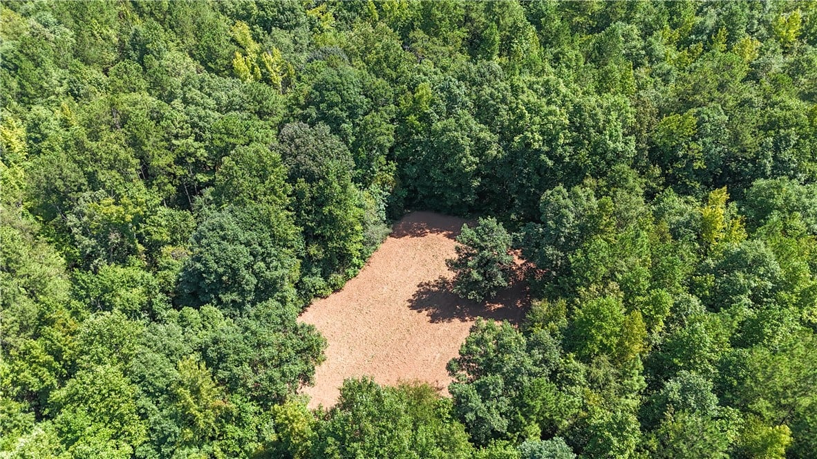 0 COUNTY ROAD 66, Camp Hill, AL, 36879, A cleared building site sits nestled deep within d