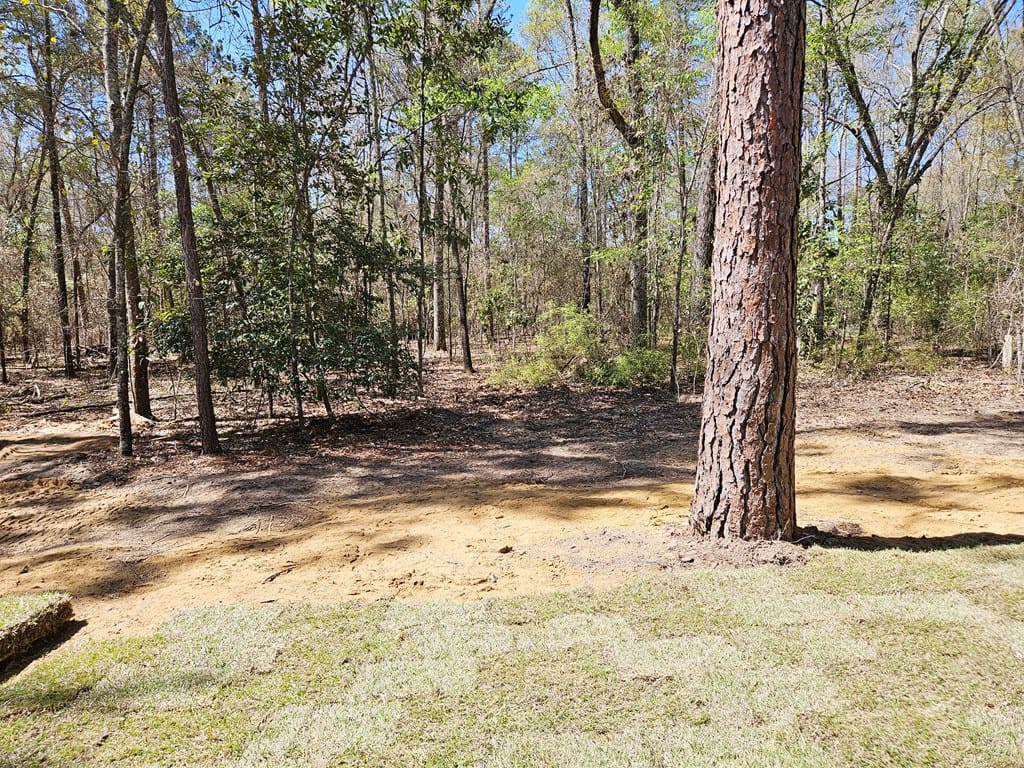 135 Thomas Street, Leesburg, GA, 31763 — Photo 2