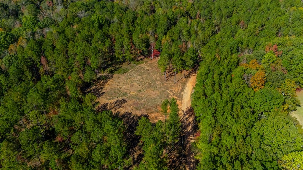 4338 Ga Highway 0036, Woodland, GA, 31836-5732 — Photo 3