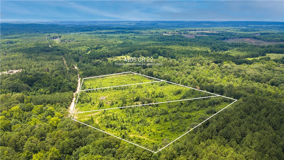 4105 COUNTY ROAD 22, Waverly, AL, 36879