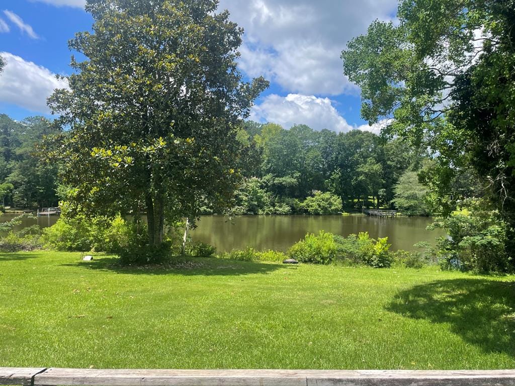 49 Lake Ct, Ellerslie, GA 31807, USA, View of Lake from Back Deck