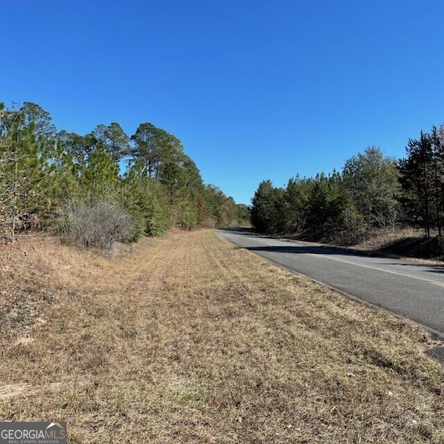 40+/- ACRES Pineville, Buena Vista, GA, 31803