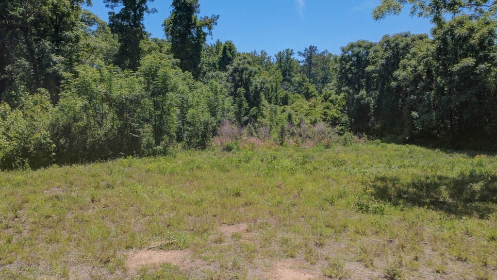 13145 Ga Highway 0315, Cataula, GA, 31804