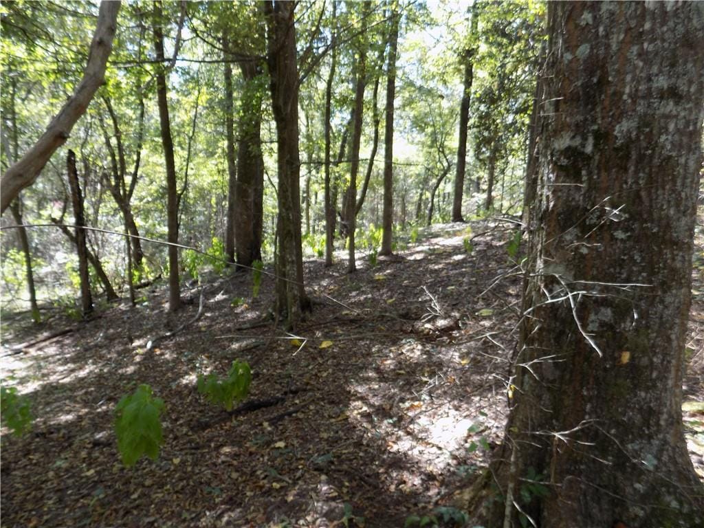 Lot 5 Macon County Road 24, Auburn, AL, 36830 — Photo 2