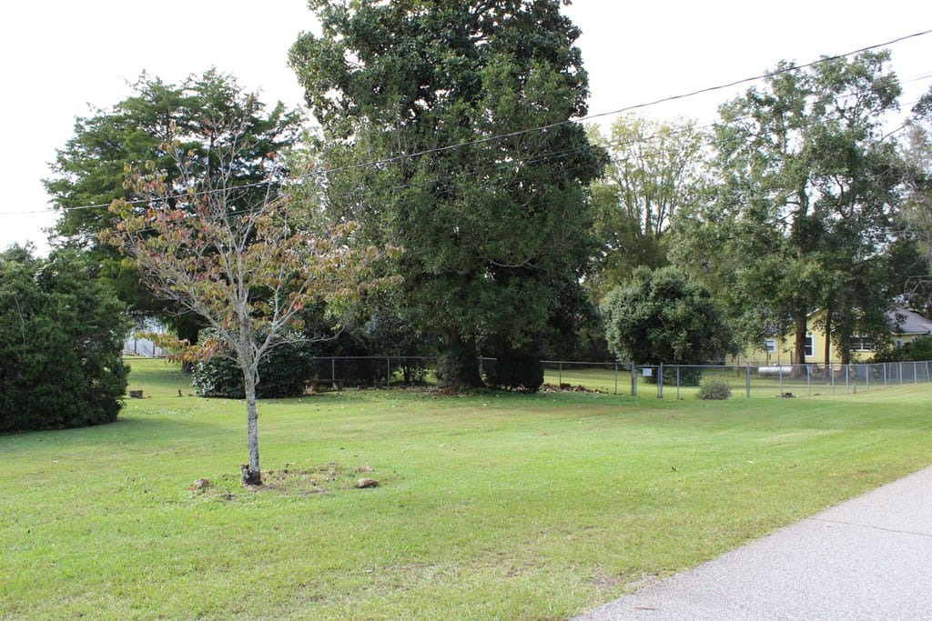 232 Mcdougald Avenue, Pine Mountain, GA, 31822
