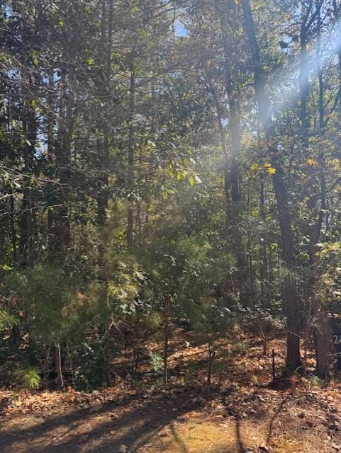 440 Highland Park Trce, Pine Mountain, GA, 31822