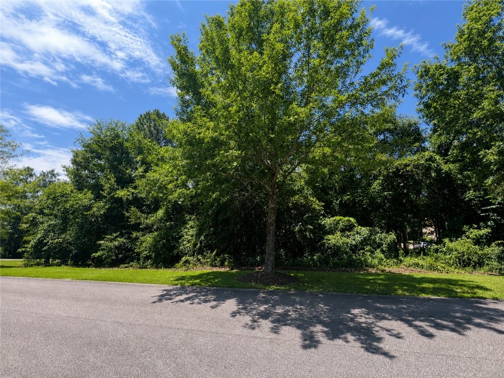 17 Lee Road 2159, Opelika, AL, 36804