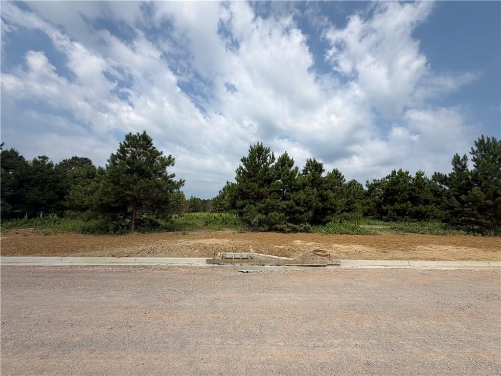 Lot 16 Homestead, Smiths Station, AL, 36877